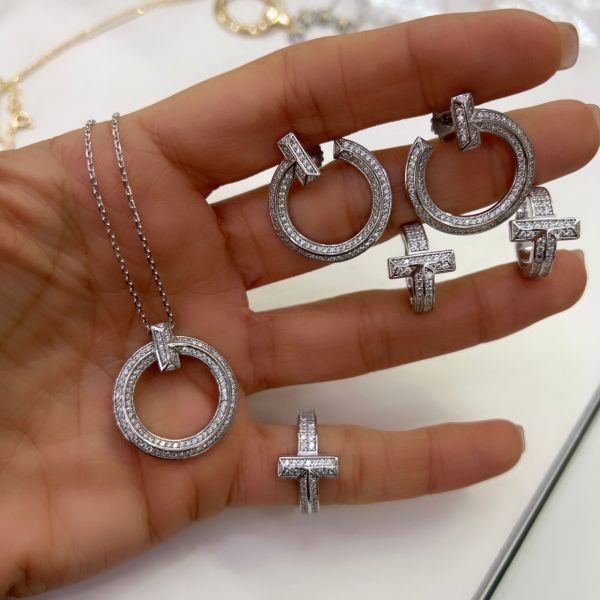 Imported T Earrings (Pair)